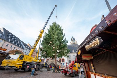 Am frühen Nachmittag kam der Weihnachtsbaum auf dem Altmarkt an.