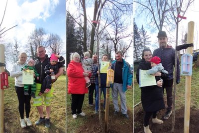 Drei neue Obstbäume wurden für die Grünberger Babys Lotta Ruth Böttcher, Lorrain Fleischer und Ella Sporreiter (von links) gepflanzt. Seit Herbst 2023 gibt es diese Tradition in Grünberg.