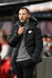 DomenicoTedesco - RB-Trainer