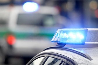 180 Junghennen in Crinitzberg gestohlen - 