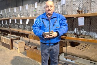 180 Kaninchen, 480 gefiederte Schönheiten: Kleintierzüchter aus Großwaltersdorf stellen Zuchtergebnisse aus - Uwe Helbig ist 1. Vorsitzender des Kleintierzüchtervereins Großwaltersdorf. Er stellt verschiedene Tiere aus.