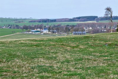 Auf den Feldern, wo die Freiflächen-Fotovoltaik-Anlage entstehen könnte, grasten bis vor zweieinhalb Jahren 250 Milchkühe. In der Ferne: Der Hof der Saidenbach Agrar GmbH.