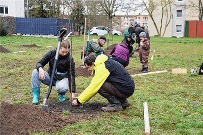 Rund zwanzig Chemnitzer sind zur öffentlichen Pflanzung am Sonnabend gekommen. 