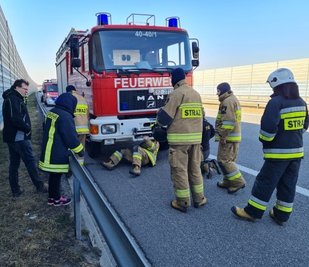 Bei einem der Fahrzeuge streikte die Wasserpumpe.