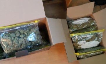 Über ein Kilogramm Marihuana haben Polizisten in Wohnungen entdeckt. 