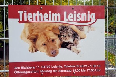 Das Tierheim in Leisnig, unter anderem Vertragspartner der Stadt Geringswalde, lädt zum Frühlingsfest ein. 