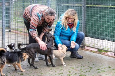 Kandelhof-Leiterin Eva Hoyer (links) und Vorständin Kerstin Gotte in der Außenanlage der Einrichtung, die 47 Hunde und 180 Katzen beherbergt.