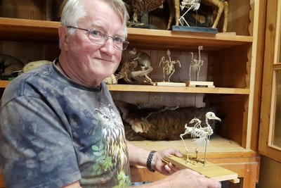 Ornithologe Michael Thoß mit einem Vogel-Modell, das Einblicke gewährt.