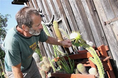 Steffen Janke zeigt im Garten seine exotischen Pflanzen. Kakteen hat der Schönberger mehr als 2000.