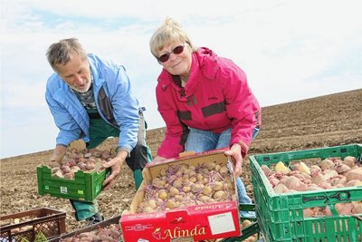 Sabine und Steffen Janke zeigen die vielen verschiedenen Sorten an Kartoffeln vor dem Pflanzen auf einem Feld.