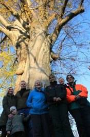 5,27 Meter beträgt der Umfang dieser prächtigen Rotbuche. Der Baum gilt als eines der größten Exemplare dieser Art in der Region. Dessen Pracht bewundern: Lisa Hack und Felix Schubert mit Töchterchen Ella (3), Heidemarie Löscher sowie Ines Bimberg, Bernd Schmieder und Vincent List vom Sachsenforst (von links).