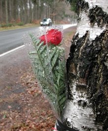 
              <p class="artikelinhalt">Eine Rose erinnerte an der Unfallstelle an den getöteten 15-Jährigen. </p>
            