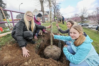 Noemi, Laura, Thea und Milena (von links) aus der sechsten Klasse beteiligten sich an der Baumpflanzaktion. 