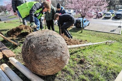 Im Herbst sollen weitere neue Bäume gepflanzt werden. 