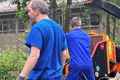 Die Insassen der JVA zerkleinern kleine Bäume mit dem Häcksler.