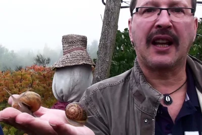 Auf einer Frankreich-Reise 2011 ging es auch einmal um Weinbergschnecken.