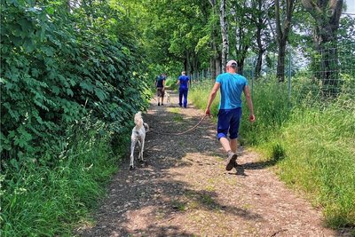 Die Hunde-Runde ist für die Gefangenen der schönste Teil des Tages.