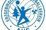 2.Handball-Bundesliga: EHV Aue verliert gegen TSV Bayer Dormagen -
