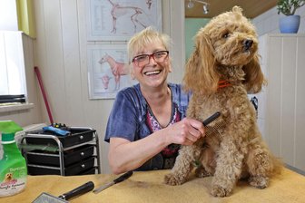 20 Jahre Hundefriseurin in St. Egidien: „Ohne Hunde knuddeln könnte ich gar nicht leben“ - Katrin Bohge beim Frisieren von Pudel Baily: Der Vierbeiner kommt mit seinem Frauchen aus Zwickau nach St. Egidien.