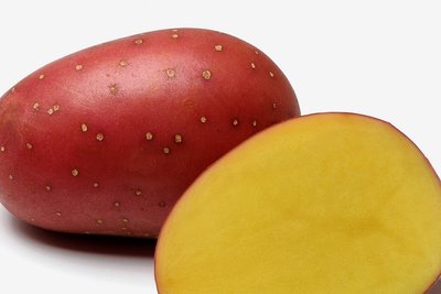 Sorte Laura: Vorwiegend festkochend, mittelfrühe Reife, rotschalig, tiefgelbes Fleisch, eignet sich sehr gut für Back- und Salzkartoffeln.
