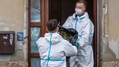 Polizisten schaffen Säcke voller Cannabis-Pflanzen aus dem durchsuchten Haus an der Kottengrüner Hauptstraße. 
