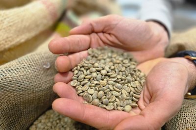 Rohkaffee aus Indien, Brasilien, Peru, Kolumbien oder Uganda wird in der Kaffeemanufaktur Tannenhaus in Schöneck.geröstet.