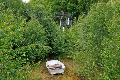Die Reste des Stadtbades verstecken sich zwischen viel Natur. Im alten Schwimmbecken sollen zwei wesentlich kleinere Becken entstehen.