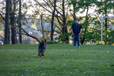 Sebastian Hammer mit Frieda, die bei dieser Übung ihrem Herrchen erst nach Aufforderung folgen durfte.
