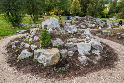 Zuerst wurden die großen Steine verlegt. Jetzt konnten schon die Pflanzen eingebracht werden.
