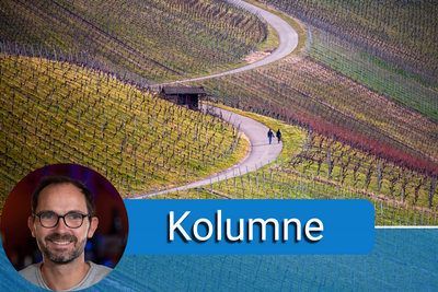 Sommelier Silvio Nitzsche über unappetitliche Weine und warum sie so schmecken wie sie schmecken