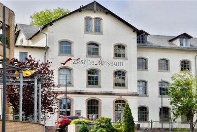 Das Dach des Esche-Museums muss erneuert und die Fassade soll aufgefrischt werden.