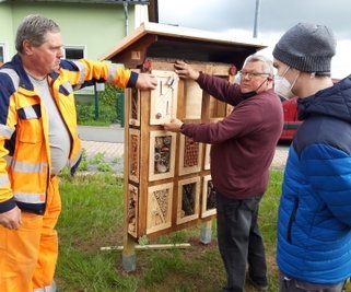 Mitarbeiter des Bauhofes und der Manufaktur haben das Insektenhotel aufgestellt. 