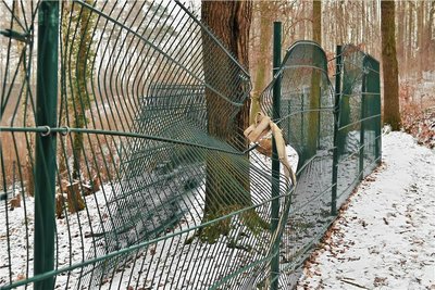 Die Zäune sind repariert und die Gehege vom Holz befreit. 