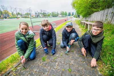 Maja Hinkel, Nelly Köhler, Eddie Rosigkeit und Ian Leibelt (von links) säuberten am Sportplatz in Eibenstock Gehwegplatten. 
