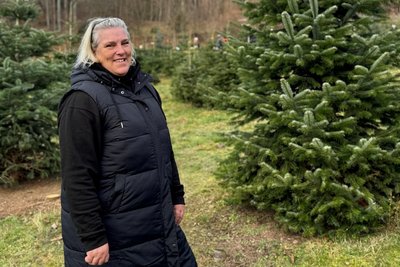 Bei Andrea Oswald auf der Weihnachtsbaumplantage in Großrückerswalde können Kunden ihre Bäume selber schlagen.