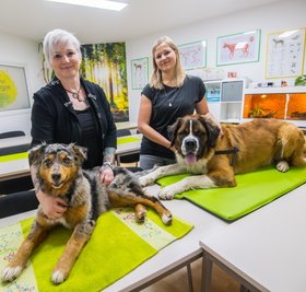 Bounty und Mo nehmen schon mal Platz: In ihrer Tierakademie in Stollberg bilden Silvia Günther (links) und Marilyn Harzer Tierphysiotherapeuten und -heilpraktiker aus. In den Seminarräumen unterrichtet ein Team aus Dozentinnen Schüler aus ganz Sachsen, Thüringen und Bayern. 