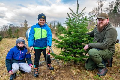 Sebastian Hinkel aus Pobershau hat mit seinen Kindern Til und Ida aus dem Zöblitzer Forstrevier eine Nordmanntanne fürs heimische Wohnzimmer geholt.