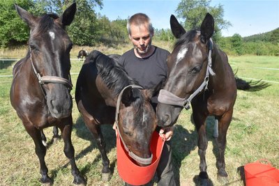 Markus Sprenger ist mit seinen Moritzburger Warmblütern beim Treck dabei. Er kommt aus der Loreley-Region.