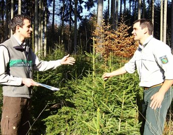 Borstendorfer Revierleiter Mischa Schubert im Röthenbacher Wald 