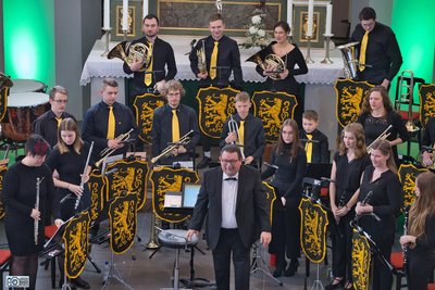 Die Grippewelle hat das Stadtorchesters Auerbach erfasst, weshalb das Neujahrskonzert am 8. Februar abgesagt wurde.