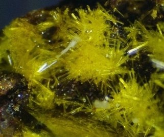 Der Yingjiangit aus Tirpersdorf ist in Oelsnitz zu sehen. 