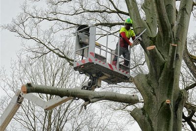 Ist der Bereich für Lukas Fröhner auch mit einem Fahrzeug erreichbar, kommt oft eine Hebebühne zum Einsatz - so wie hier im Zschopauer Park An den Anlagen. 