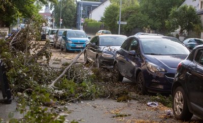 Der morgen danach: An der Straßberger Straße in Plauen zeugten heruntergebrochene Äste vom Unwetter der Nacht.