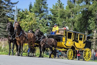 Die Postkutsche bei einem früheren Einsatz am Fichtelberg. Dabei saß Eckhardt Thiele für das Oberwiesenthaler Pferdefuhrgeschäft von Christoph Kaufmann auf dem Kutschbock. Das Unternehmen übernimmt auch künftig die Fahrten. 