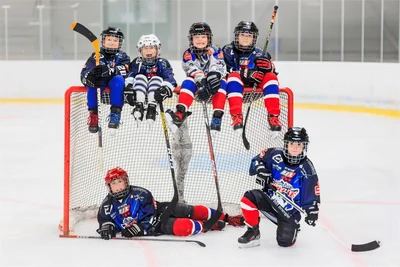 Jungen und Mädchen der Altersklassen U 9 und U 11 vom Nachwuchs der Schönheider Wölfe.