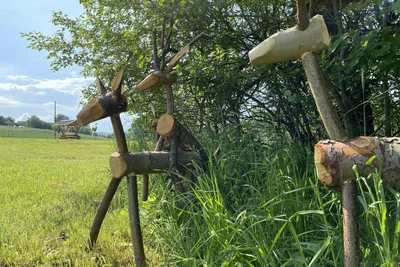 Die „Aufklärungsecke“ befindet sich auf einer Wiese unweit des Lemke-Guts.