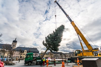 Der Weihnachtsbaum wird auf dem Marienberger Markt gesetzt.