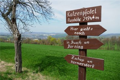 Wir finden, nach Mundart aufgeschrieben, muss man suchen. Das ist schade. Auf der Bornwaldstraße wird Wanderern und Spaziergängern in der Nähe von Krumhermersdorf auf Erzgebirgisch erklärt, wo der Weg hinführt. Foto: Andreas Bauer