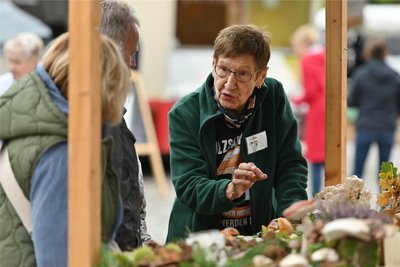 Sieglinde Köhler, hier auf dem Rochlitzer Regionalmarkt im Herbst 2023, ist Kreispilzberaterin.