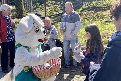 Besondere Aktionen gibt es zu Ostern im Zoo der Minis in Aue.